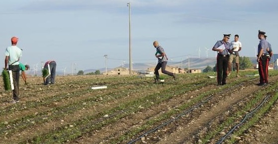 Impiega lavoratori in ‘nero’ nell’azienda agricola, imprenditore paga il conto con la Legge