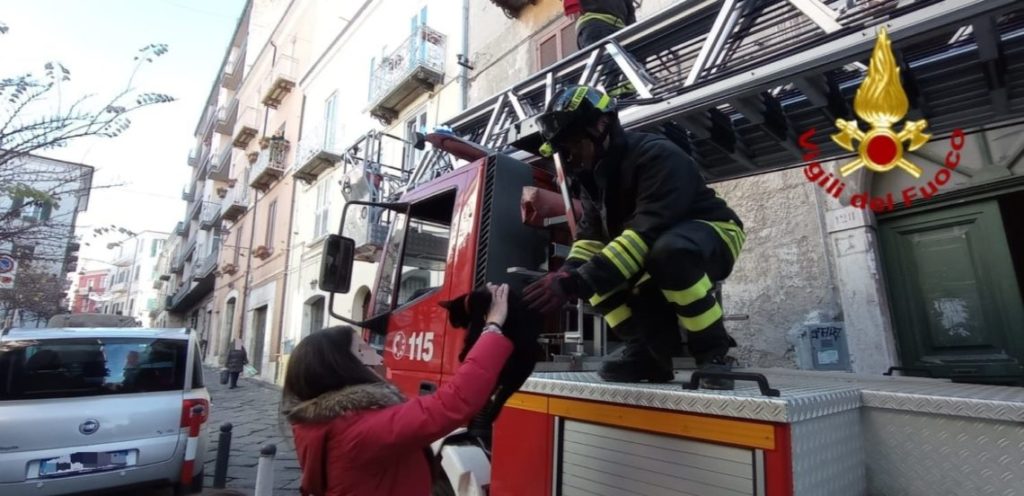 La gattina ‘funambola’ salvata dai Vigili del Fuoco, gioia e curiosità per l’intervento nel centro storico