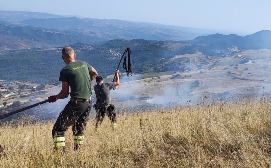 Incendio di sterpaglie, i Vigili del Fuoco in azione con i battifiamma