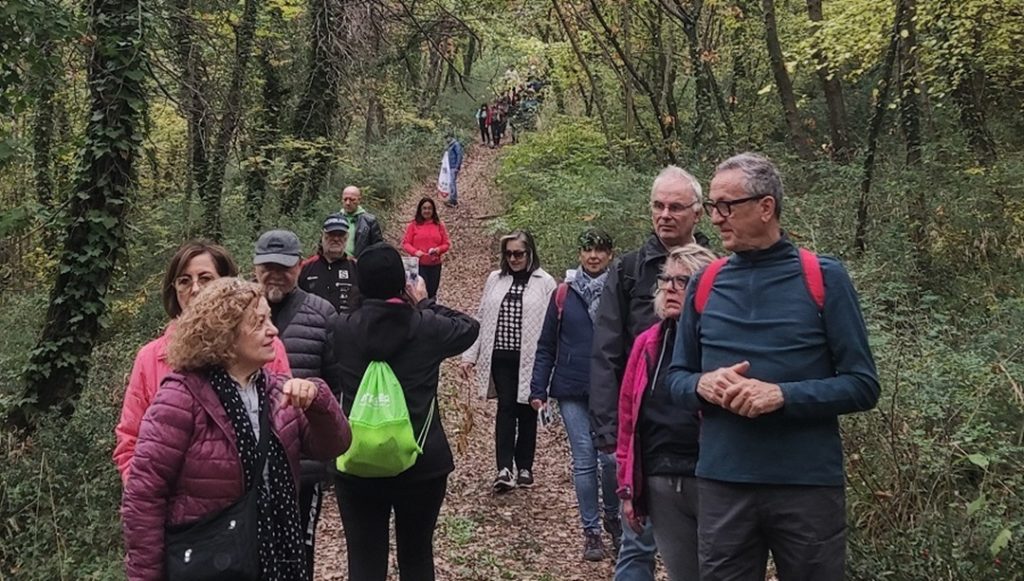 Il “segreto” del Bosco Corundoli, una passeggiata immersi nella magia dell’autunno. FOTO