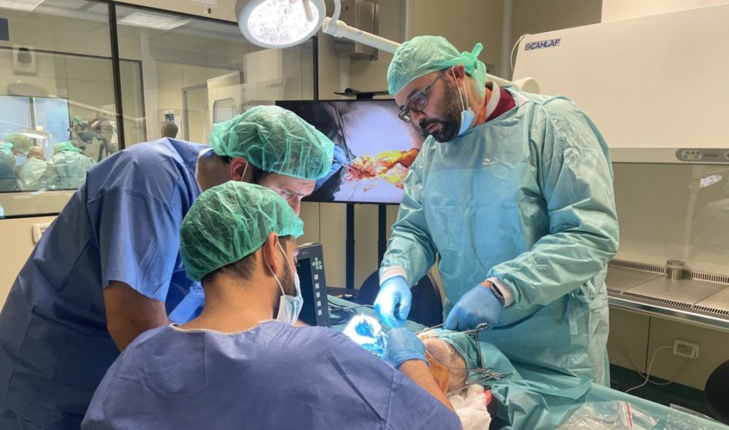 Pozzilli, svolto il primo corso per otorinolaringoiatri nel laboratorio di Neuroanatomia del Neuromed