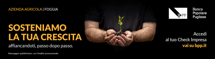 banner-728x200-Fin-Imp-Bpp-1