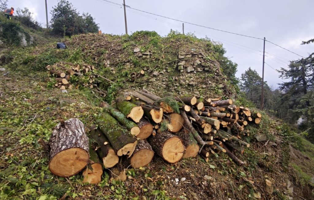 Manutenzione verde, legna da ardere a disposizione dei cittadini sulla collina Monforte