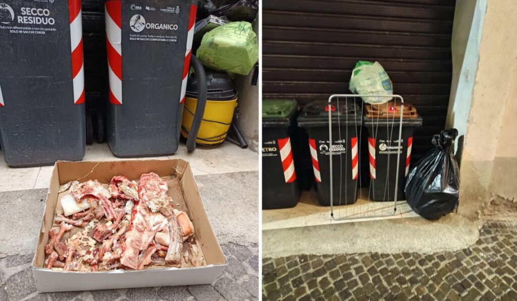 Cinghiali, duro attacco di Pilone e Di Claudio alla giunta Forte: “Sistema di raccolta differenziata fallimentare”