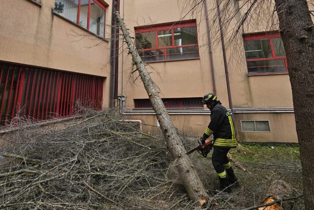 Vento in provincia di Isernia, albero si abbatte sulla scuola | Neve e disagi in Alto Molise