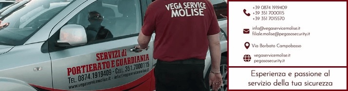 Vega-Service-orizzontale-nuovo