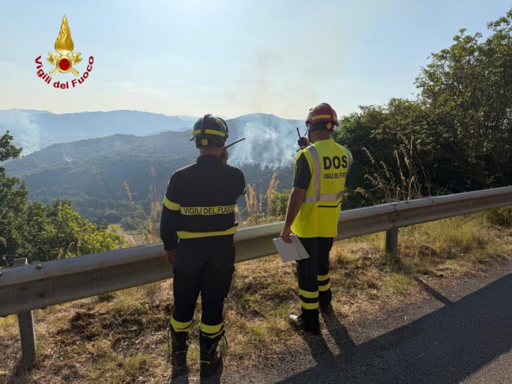 Venafro, incendio boschivo a Ceppagna: in azione dalle ore notturne squadre a terra del 115 e un canadair