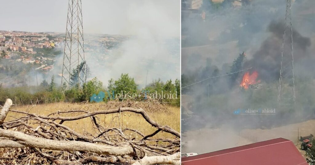 Incendio a confine tra Campobasso e Ferrazzano, “salta” cavo dell’alta tensione