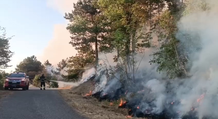 Boschi in fiamme, situazioni critiche a Montefalcone e Mafalda