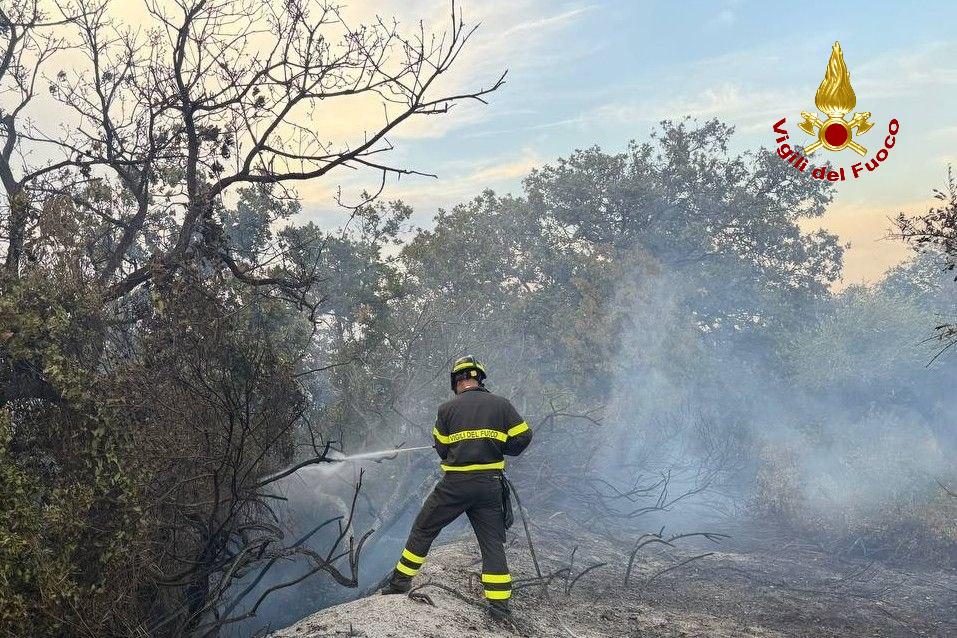 Vasto incendio nel territorio di San Giacomo degli Schiavoni, abitazioni evacuate | A supporto canadair e volontari