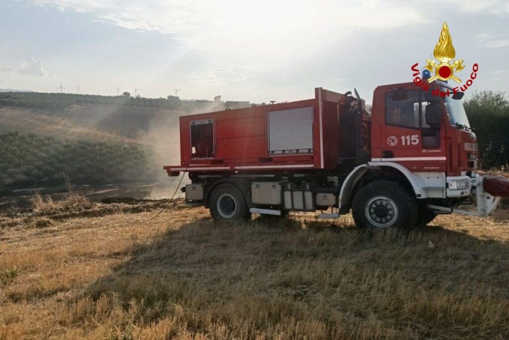 Incendi in Basso Molise, interventi più “critici” a Rotello e San Martino