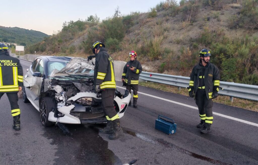 Auto centra un cervo sulla Statale, ferito il conducente