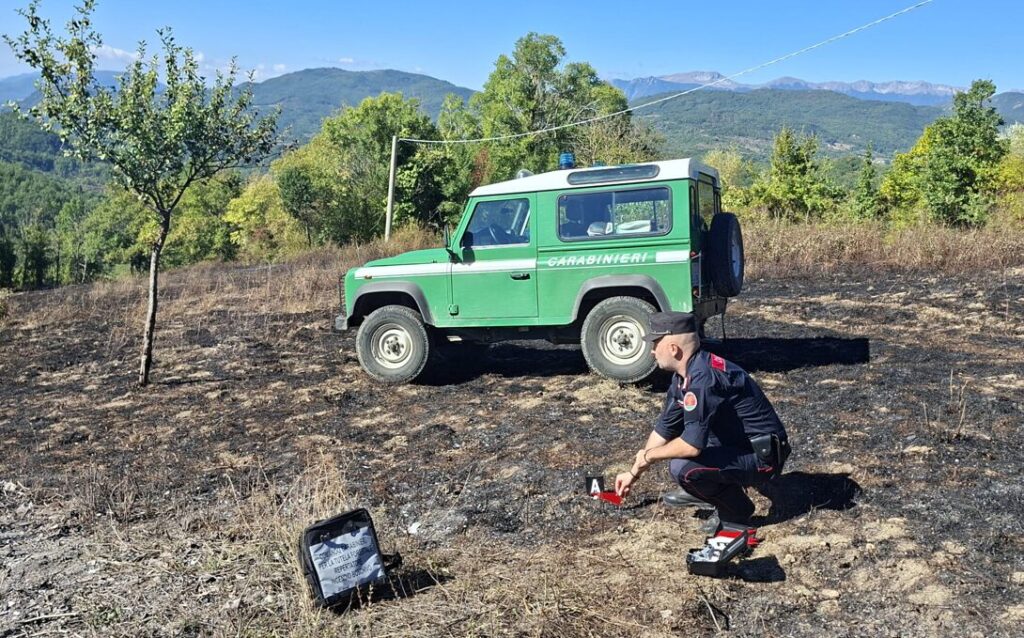 Brucia residui vegetali e prende fuoco il bosco, denunciato il responsabile dell’incendio in località Vignale
