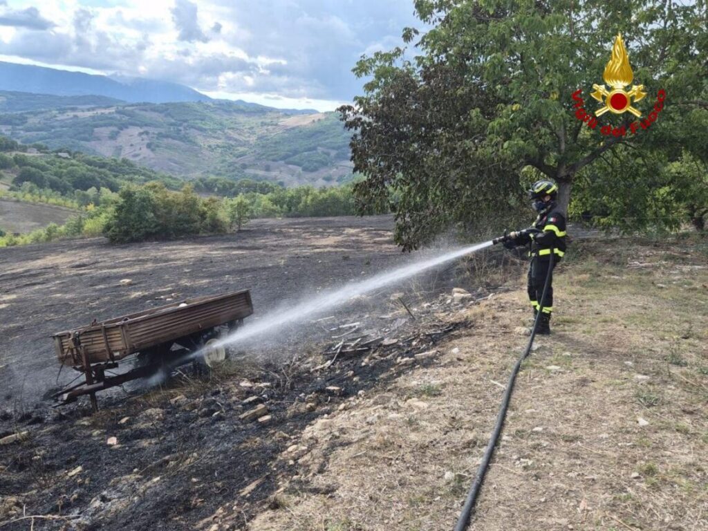 Fiamme su oltre 2 ettari di terreno, coinvolti uliveto e area boschiva