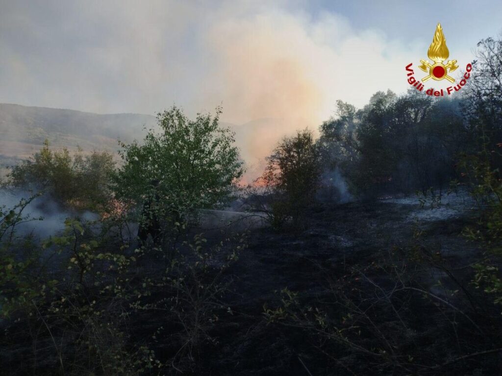 Incendio nel bosco di Oratino, Vigili del Fuoco spengono le fiamme e mettono in sicurezza le abitazioni