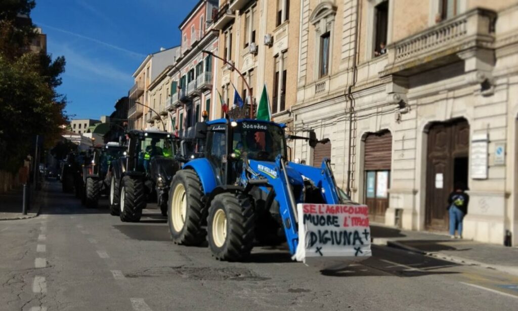 Caro gasolio, dal Governo 70 mln per agricoltura e pesca. Micone: “Sostegno concreto per l’economia”
