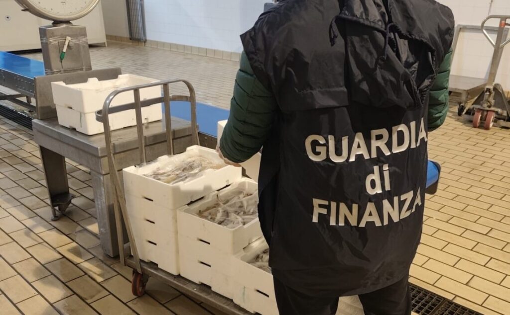 Trasporto merci senza etichettatura: 100 kg di prodotti ittici sequestrati e dati in beneficenza